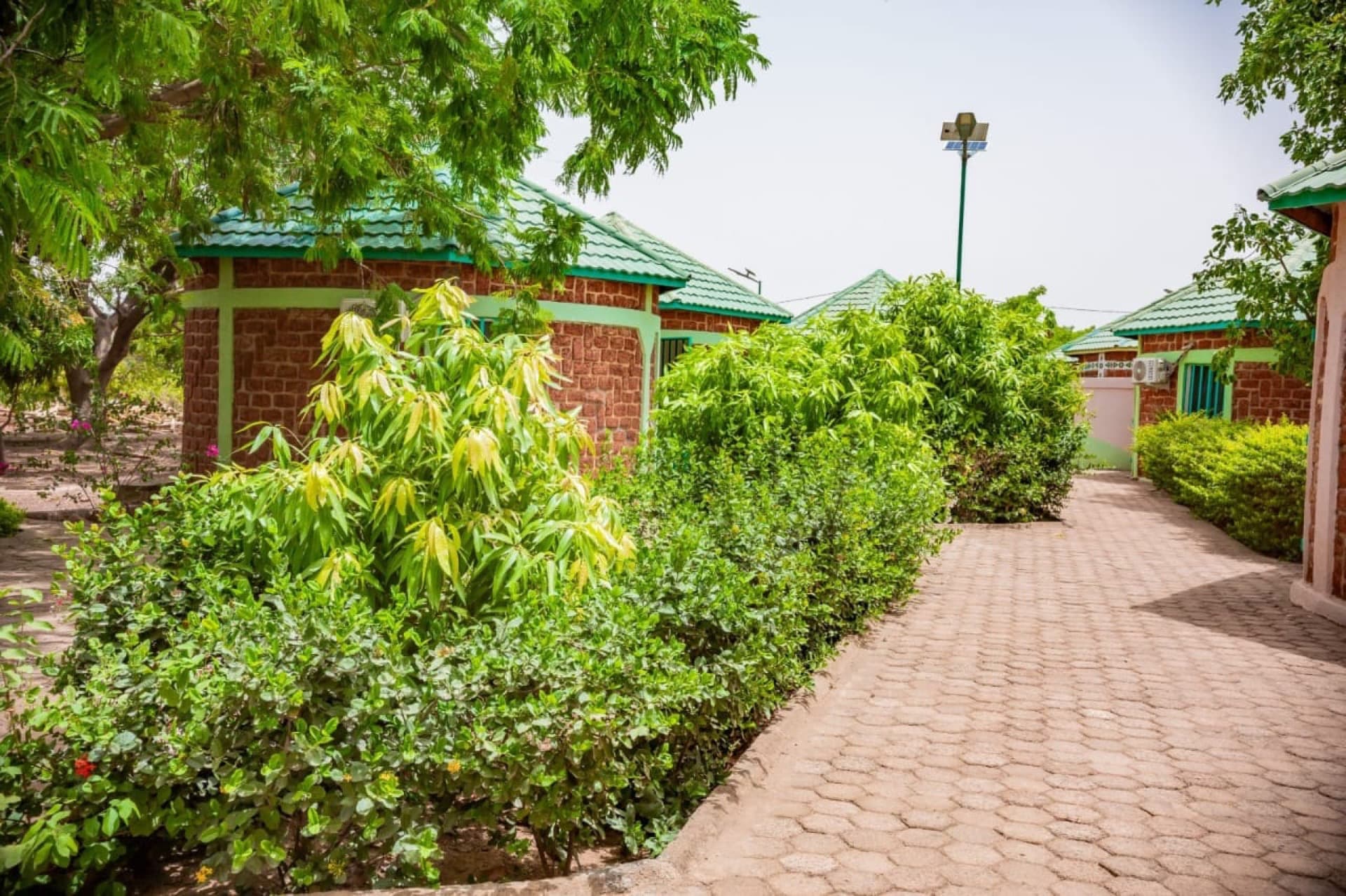 Complexe DIMA HOTEL — bungalows